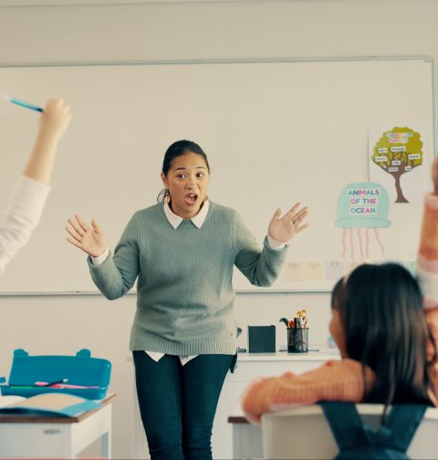 Educación Primaria y Pedagogía Terapéutica
