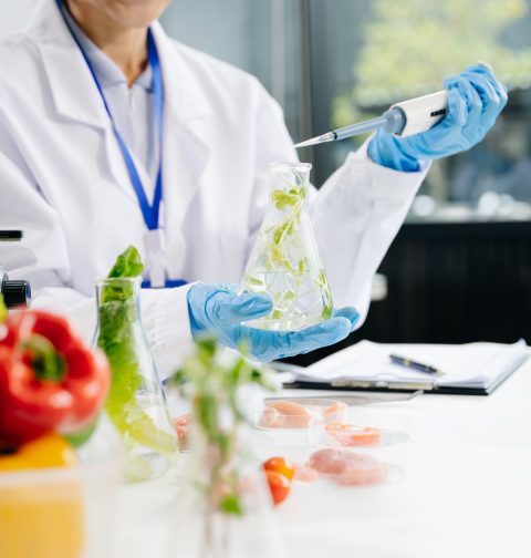 ingeniero alimentario