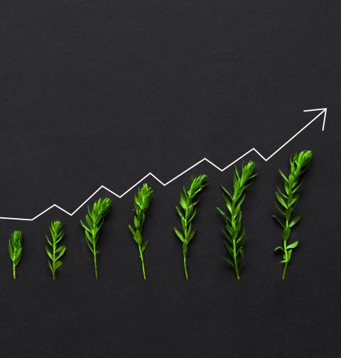 administración de pymes