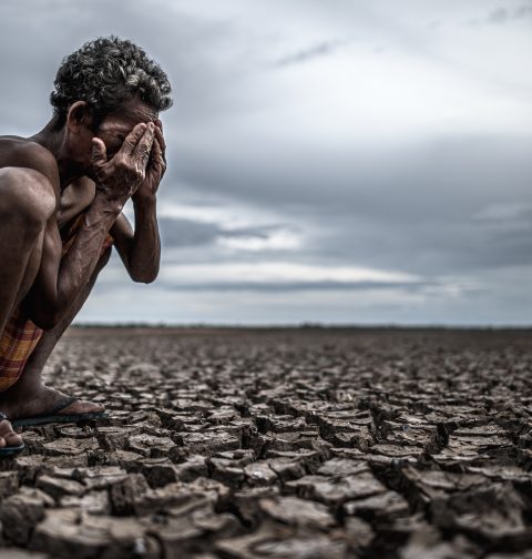 la ingeniería de alimentos