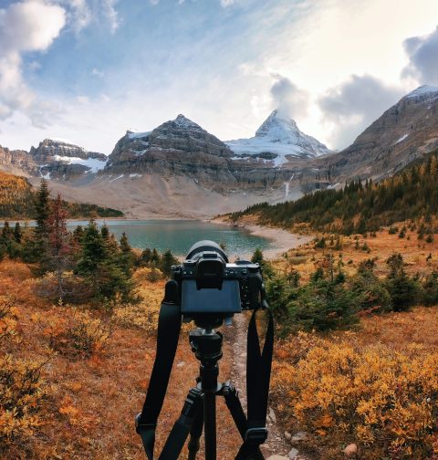 documentales